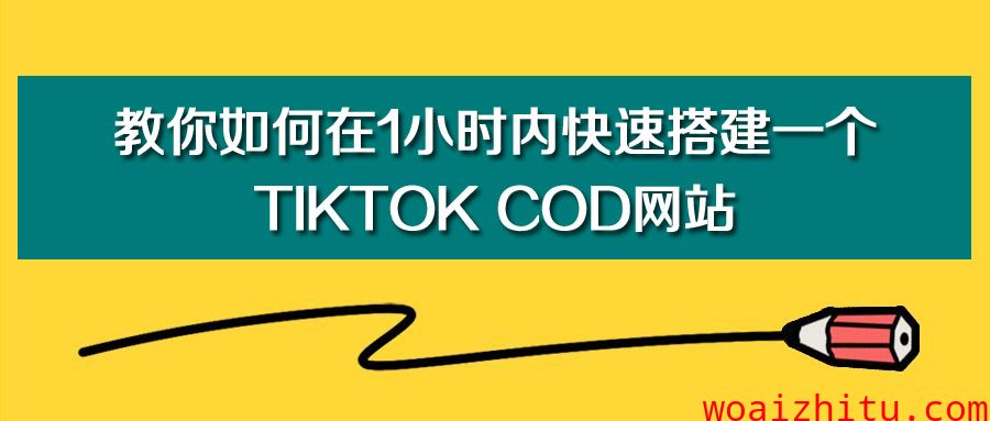 教你如何在1小时内快速搭建一个TikTok COD网站